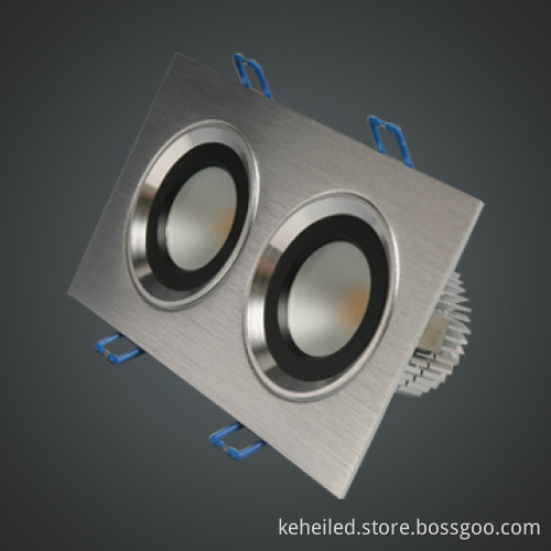 LED Ceiling Light with Two Lights